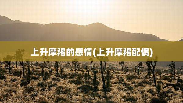 上升摩羯的感情(上升摩羯配偶)
