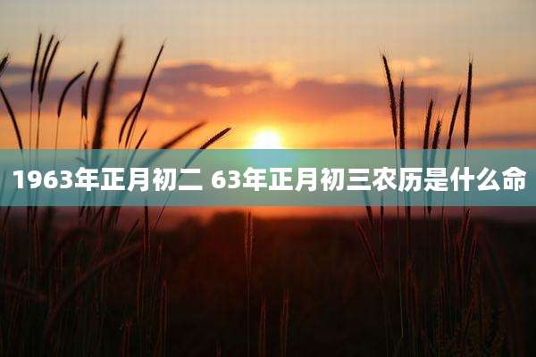 1963年正月初二 63年正月初三农历是什么命