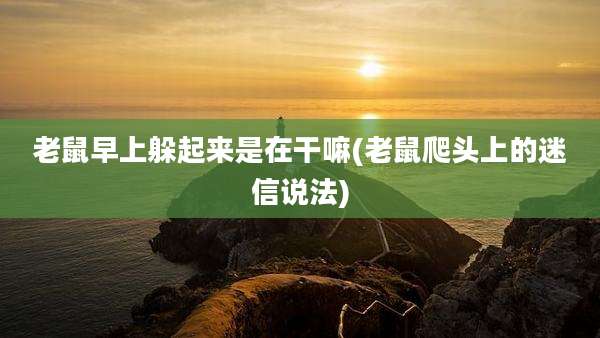 老鼠早上躲起来是在干嘛(老鼠爬头上的迷信说法)
