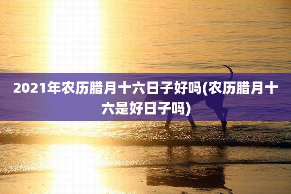 2021年农历腊月十六日子好吗(农历腊月十六是好日子吗)