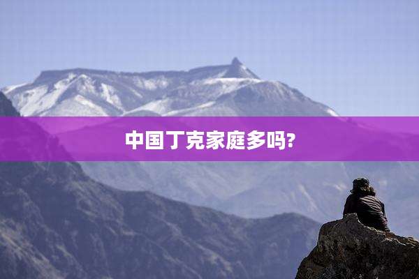 中国丁克家庭多吗?