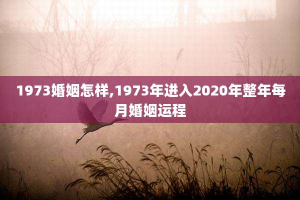 1973婚姻怎样,1973年进入2020年整年每月婚姻运程
