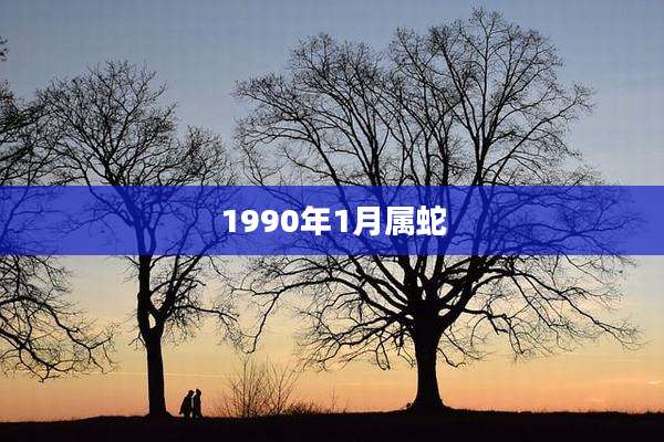 1990年1月属蛇