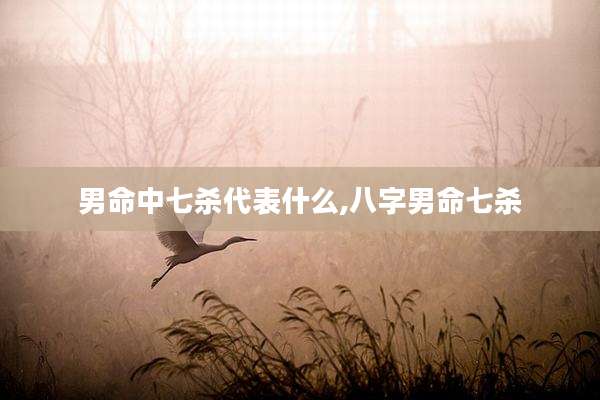 男命中七杀代表什么,八字男命七杀