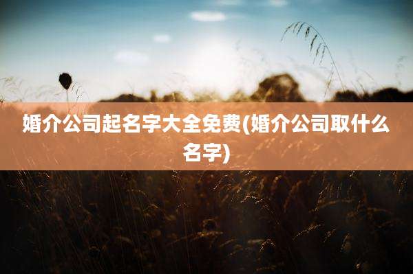 婚介公司起名字大全免费(婚介公司取什么名字)