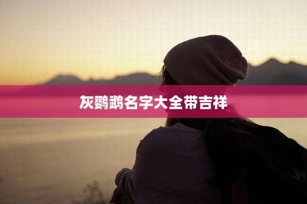 灰鹦鹉名字大全带吉祥