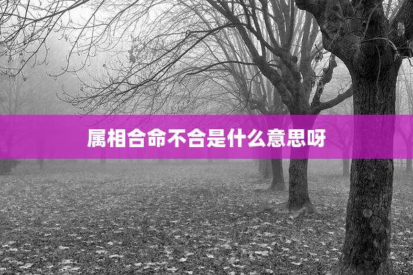 属相合命不合是什么意思呀