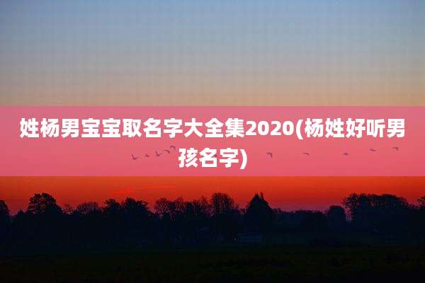 姓杨男宝宝取名字大全集2020(杨姓好听男孩名字)