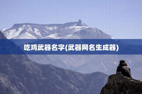 吃鸡武器名字(武器网名生成器)