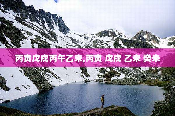 丙寅戊戌丙午乙未,丙寅 戊戌 乙未 癸未