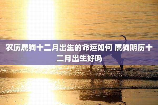 农历属狗十二月出生的命运如何 属狗阴历十二月出生好吗