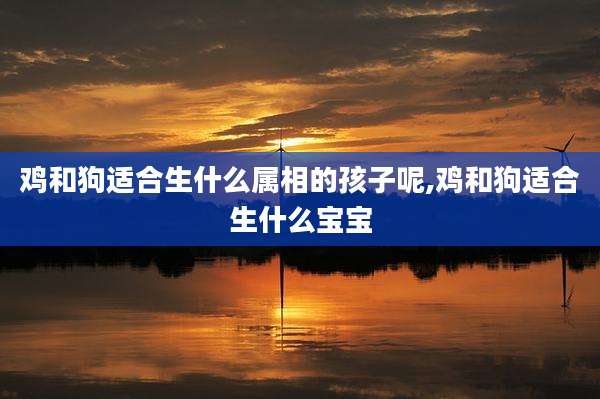 鸡和狗适合生什么属相的孩子呢,鸡和狗适合生什么宝宝