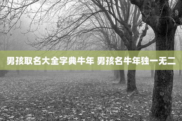男孩取名大全字典牛年 男孩名牛年独一无二