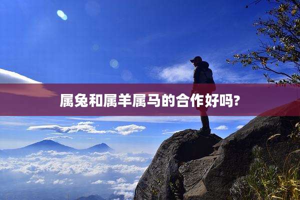 属兔和属羊属马的合作好吗?