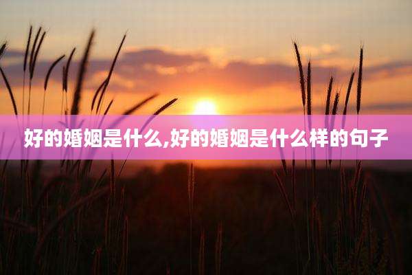 好的婚姻是什么,好的婚姻是什么样的句子