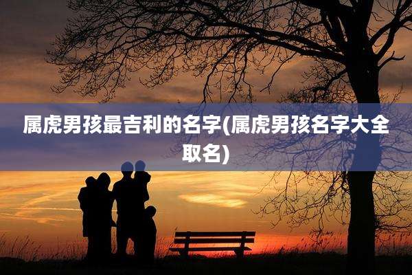 属虎男孩最吉利的名字(属虎男孩名字大全取名)