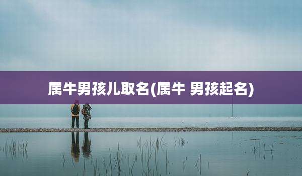 属牛男孩儿取名(属牛 男孩起名)