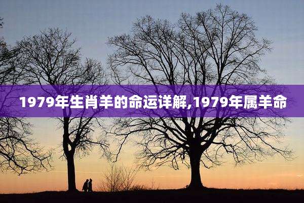 1979年生肖羊的命运详解,1979年属羊命