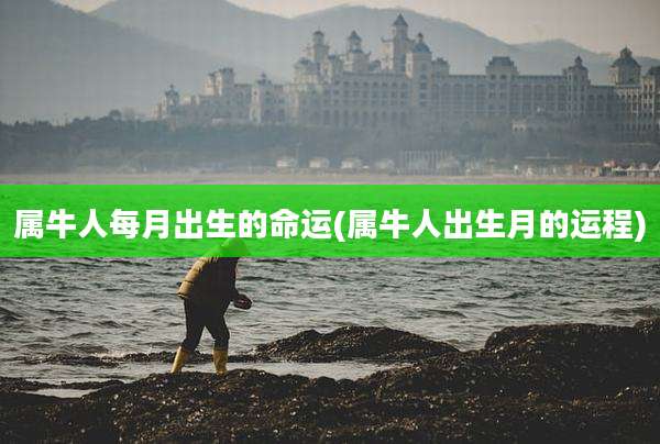属牛人每月出生的命运(属牛人出生月的运程)