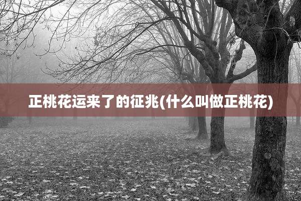 正桃花运来了的征兆(什么叫做正桃花)