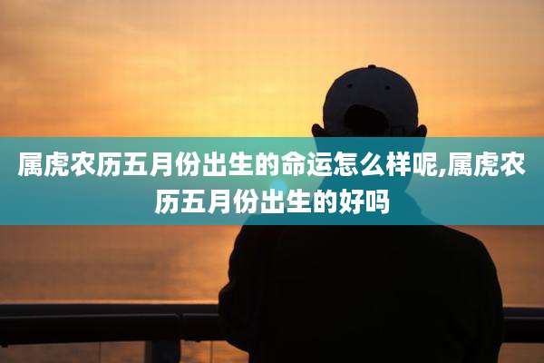 属虎农历五月份出生的命运怎么样呢,属虎农历五月份出生的好吗