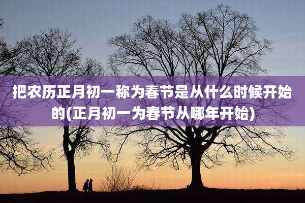 把农历正月初一称为春节是从什么时候开始的(正月初一为春节从哪年开始)