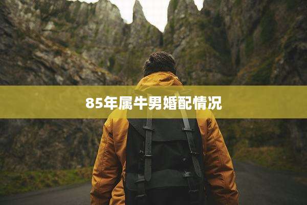 85年属牛男婚配情况
