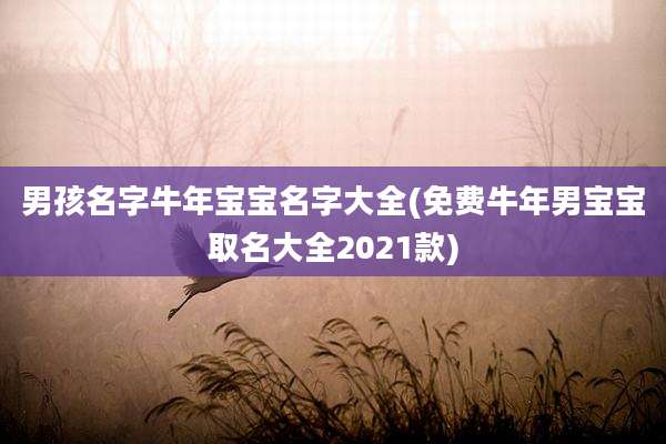 男孩名字牛年宝宝名字大全(免费牛年男宝宝取名大全2021款)