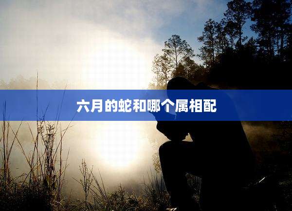 六月的蛇和哪个属相配