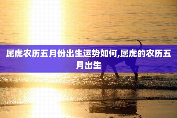 属虎农历五月份出生运势如何,属虎的农历五月出生