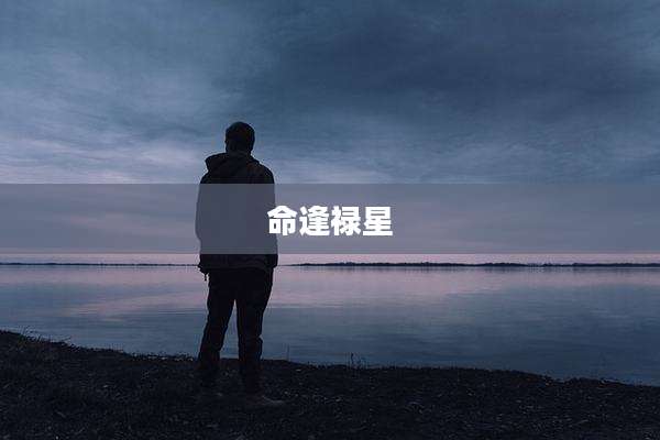 命逢禄星