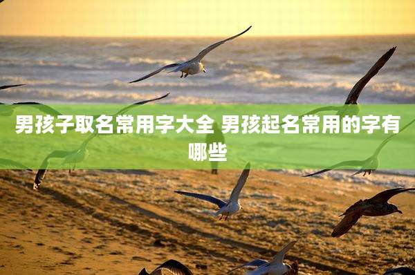 男孩子取名常用字大全 男孩起名常用的字有哪些