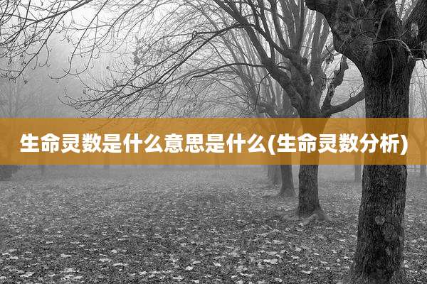 生命灵数是什么意思是什么(生命灵数分析)