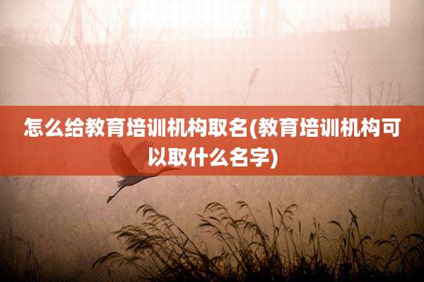 怎么给教育培训机构取名(教育培训机构可以取什么名字)