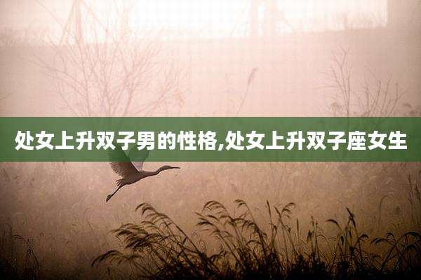 处女上升双子男的性格,处女上升双子座女生