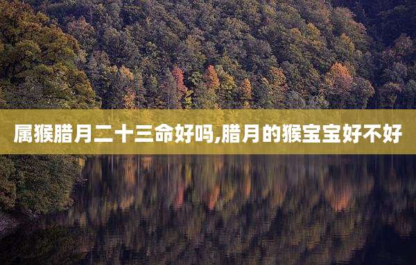 属猴腊月二十三命好吗,腊月的猴宝宝好不好