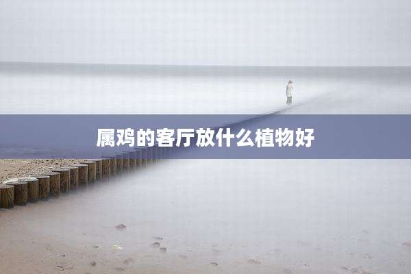 属鸡的客厅放什么植物好