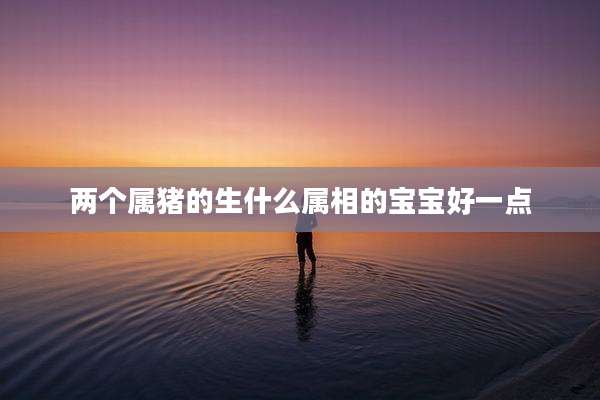 两个属猪的生什么属相的宝宝好一点