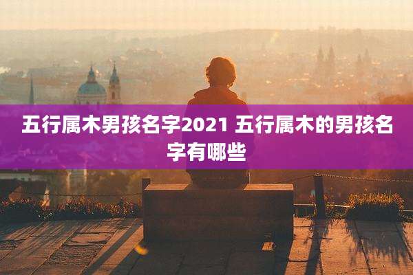 五行属木男孩名字2021 五行属木的男孩名字有哪些