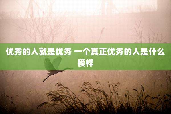 优秀的人就是优秀 一个真正优秀的人是什么模样