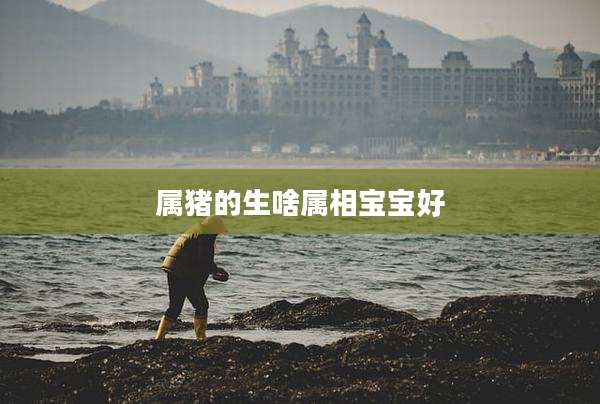 属猪的生啥属相宝宝好