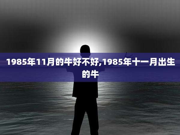 1985年11月的牛好不好,1985年十一月出生的牛