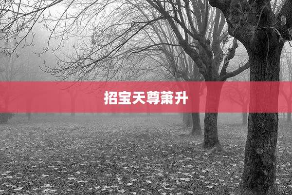 招宝天尊萧升