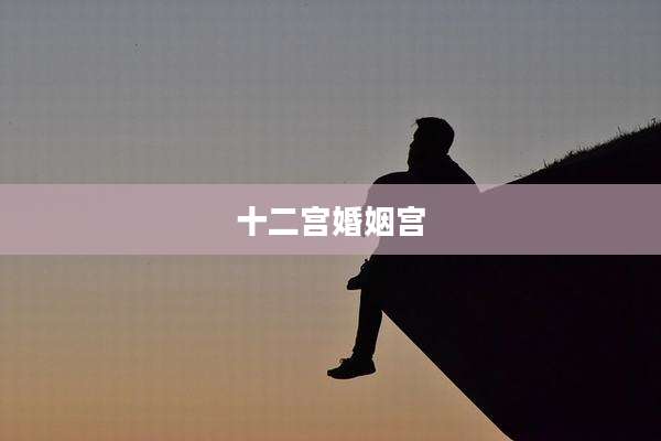 十二宫婚姻宫