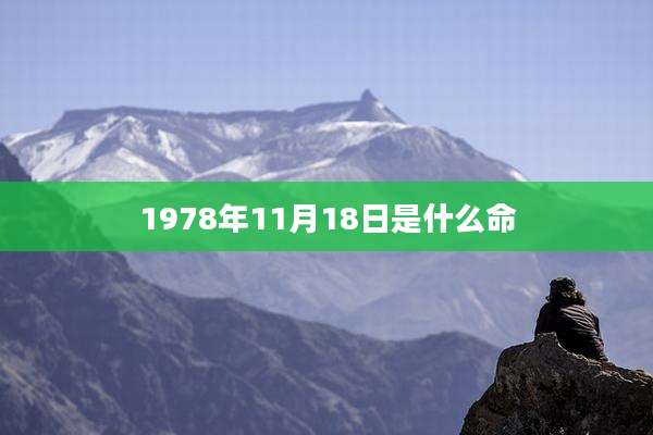 1978年11月18日是什么命