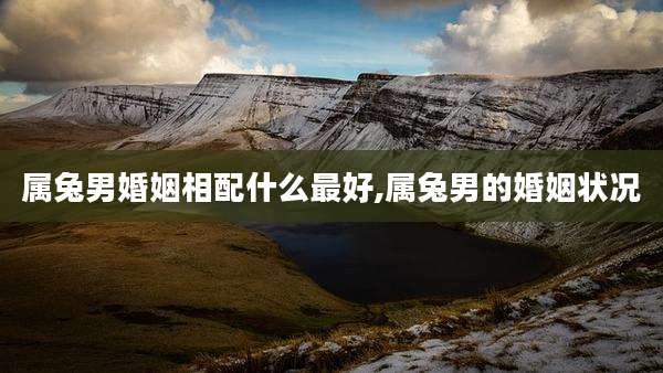 属兔男婚姻相配什么最好,属兔男的婚姻状况