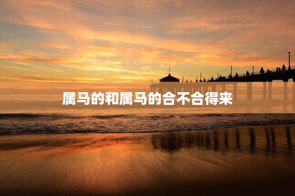 属马的和属马的合不合得来