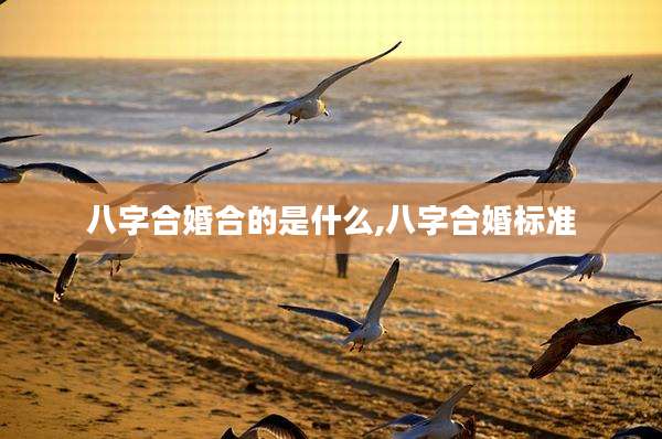 八字合婚合的是什么,八字合婚标准