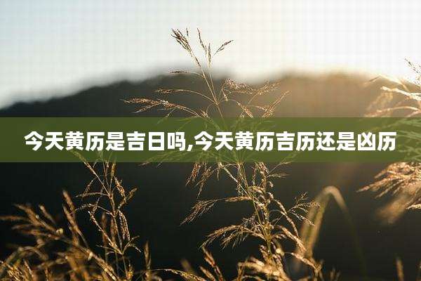 今天黄历是吉日吗,今天黄历吉历还是凶历