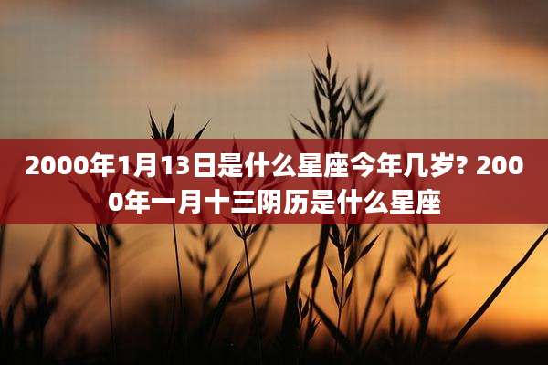 2000年1月13日是什么星座今年几岁? 2000年一月十三阴历是什么星座